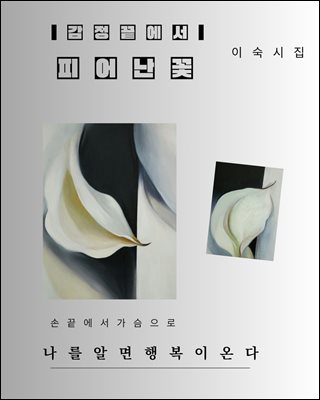 감정 끝에서 피어난 꽃
